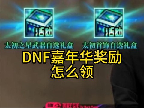 dnf金牌是什么意思