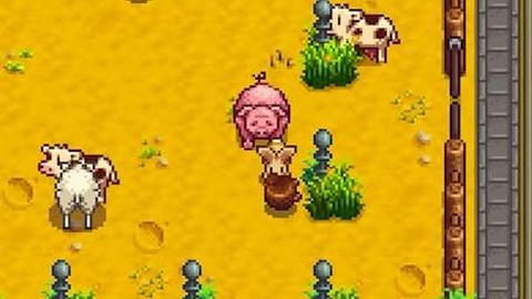 星露谷物语猪有什么用[图1]