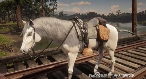 荒野大镖客怎么养殖[图1]