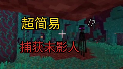 我的世界怎么抓末影人[图1]