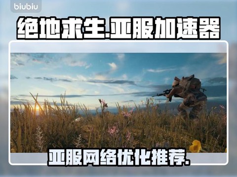 绝地求生怎么选择亚服[图2]