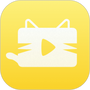 猫咪视频