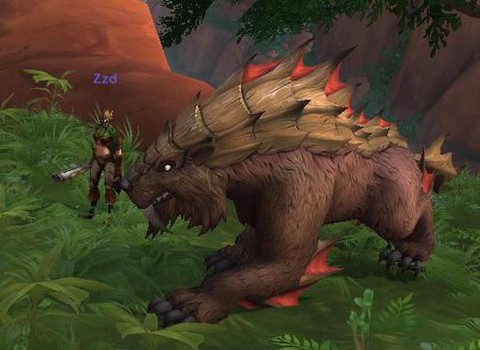 魔兽世界猎人宝宝什么好