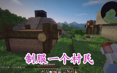 我的世界如何驯服村民