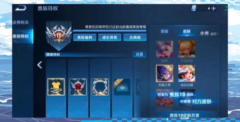 王者荣耀怎么充贵族[图2]