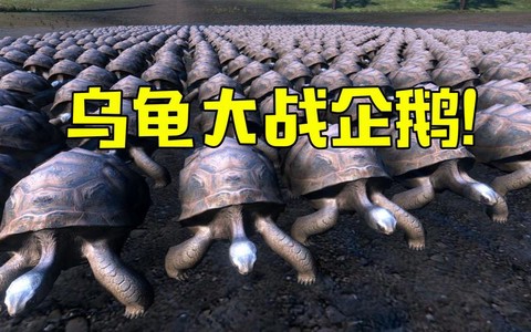 王国纪元乌龟怎么打