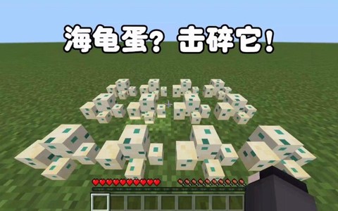 我的世界海龟蛋有什么用[图1]