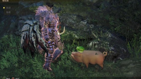 怪物猎人3猪有什么用