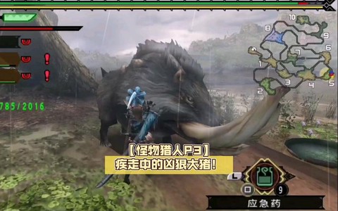 怪物猎人3猪有什么用[图2]