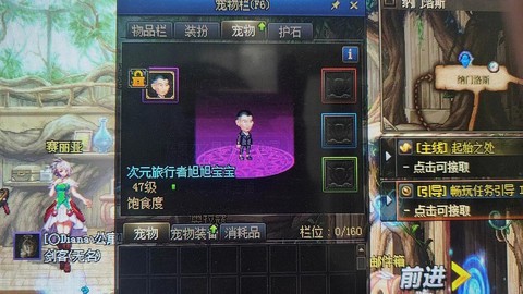 dnf奶爸带什么宠物