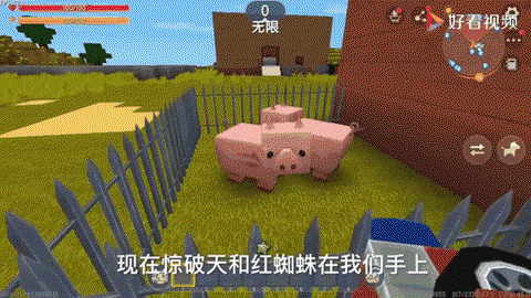 迷你世界猪用什么引