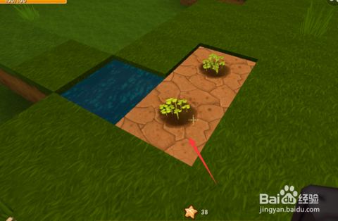 迷你世界怎么种龙血树[图2]
