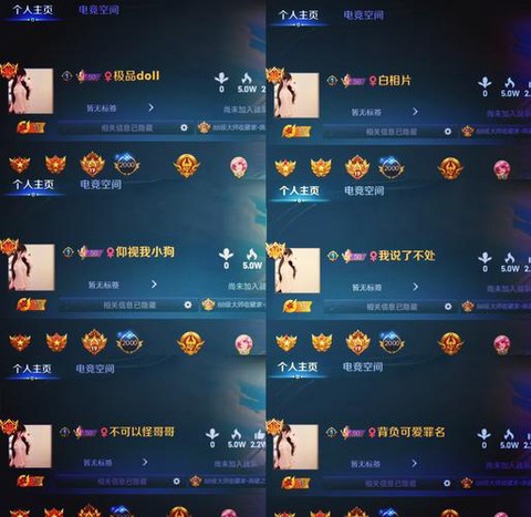 王者荣耀正版id什么意思