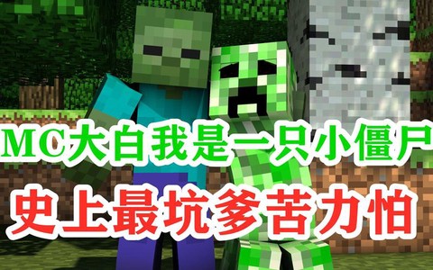 我的世界怎么做大白