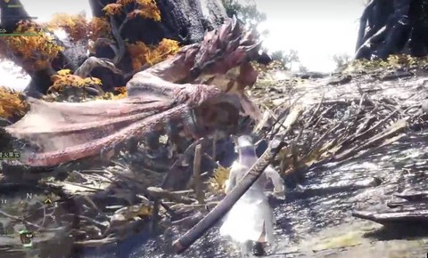 怪物猎人p雄火龙怎么打[图2]