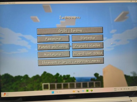 怎么在电脑上玩我的世界