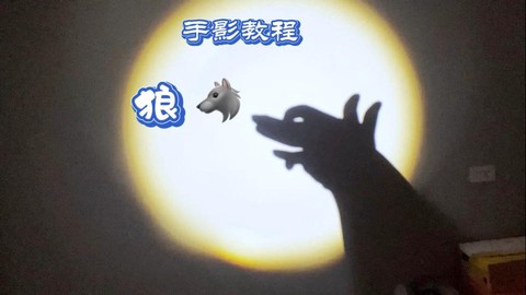 狼人杀白狼王什么手势[图2]