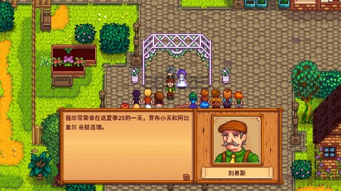 星露谷物语怎么击昏