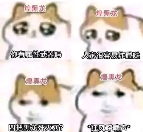 怪物猎人说的什么语言