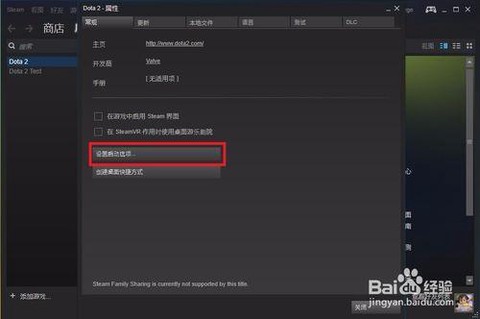国服dota2如何用steam启动