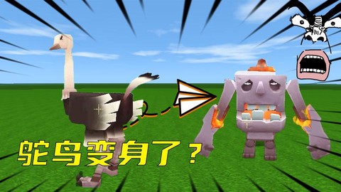 迷你世界鸵鸟怎么补血