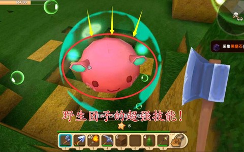 迷你世界团子怎么加血