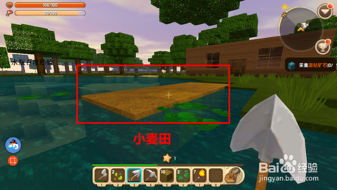迷你世界怎么种小麦