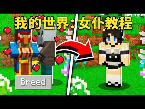 我的世界女仆怎么使用[图2]