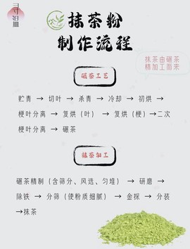 九阴真经绿茶怎么加工