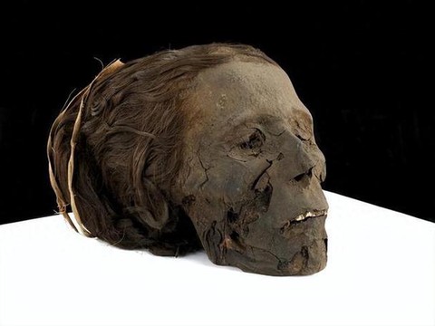 部落冲突古代头骨有什么用