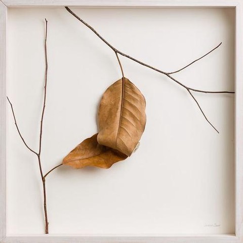 迷你世界枯叶怎么装饰