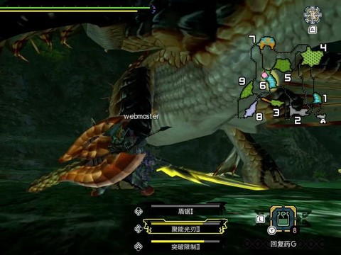 怪物猎人2怎么钓水龙