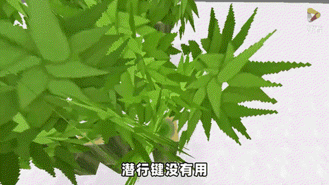 迷你世界怎么得树叶