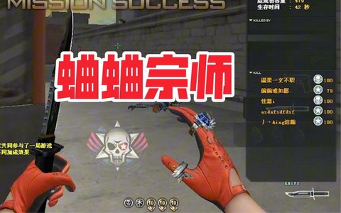 穿越火线宗师是什么[图2]