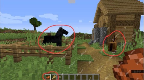 我的世界怎么让马走