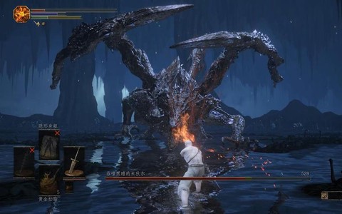 黑魂3黑龙魂换什么[图2]