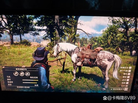 荒野大镖客2什么马好[图2]