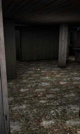 恐怖奶奶：第二章图2