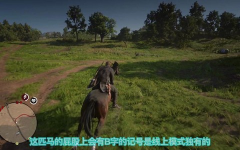 荒野大镖客如何洗马