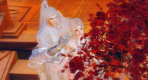 倩女幽魂侠侣怎么结[图1]