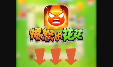 愤怒的花花[图1]