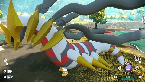 口袋妖怪冥王龙怎么抓[图1]