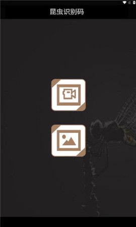 昆虫识别码图2