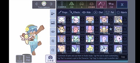 加查鲁米那[图2]