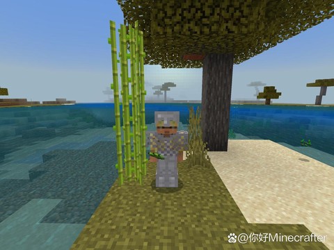 我的世界怎么种甘蔗