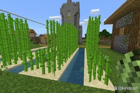 我的世界怎么种甘蔗[图1]