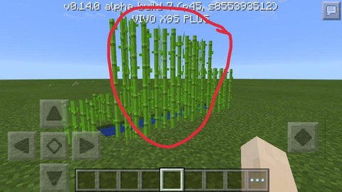 我的世界怎么种甘蔗[图2]