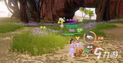 天龙八部怎么捉宠物[图2]