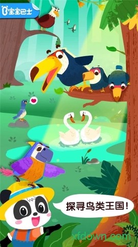 宝宝鸟类认知[图1]