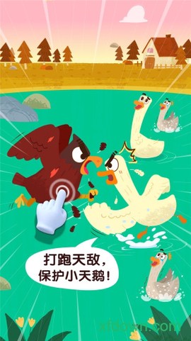 宝宝鸟类认知图1